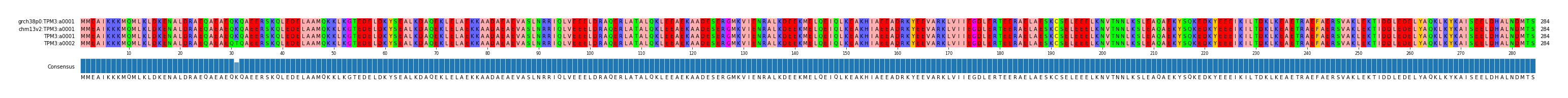 Multiple Alignments (by translate haplotype similarity)