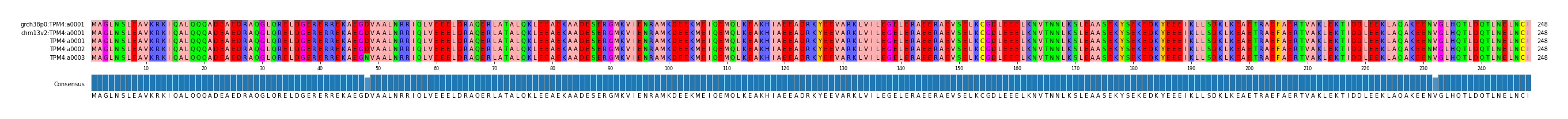 Multiple Alignments (by translate haplotype frequency)