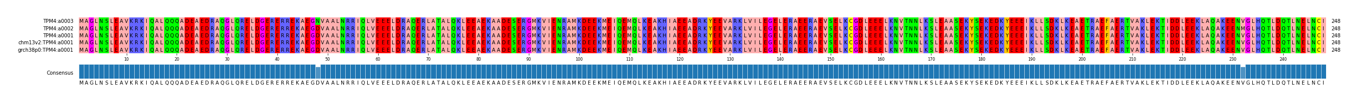 Multiple Alignments (by translate haplotype similarity)