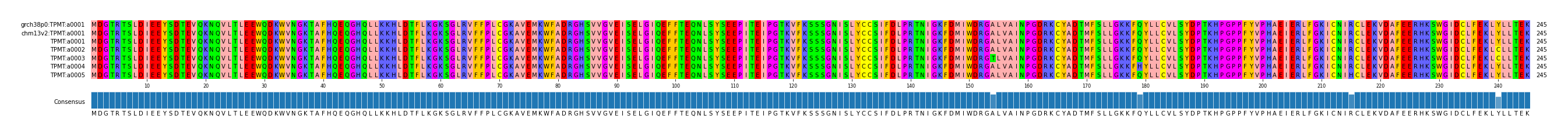 Multiple Alignments (by translate haplotype frequency)