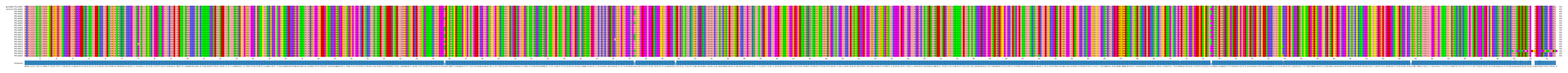 Multiple Alignments (by translate haplotype frequency)