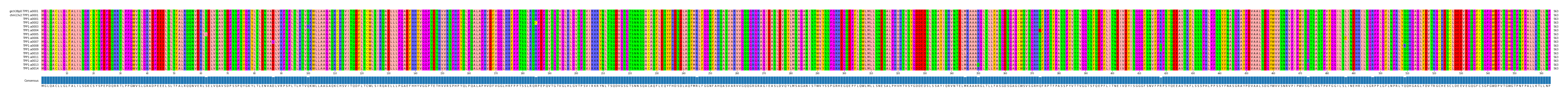 Multiple Alignments (by translate haplotype frequency)