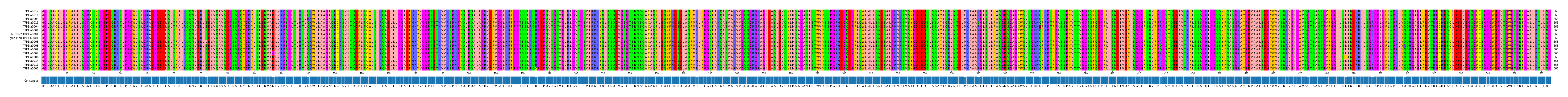 Multiple Alignments (by translate haplotype similarity)