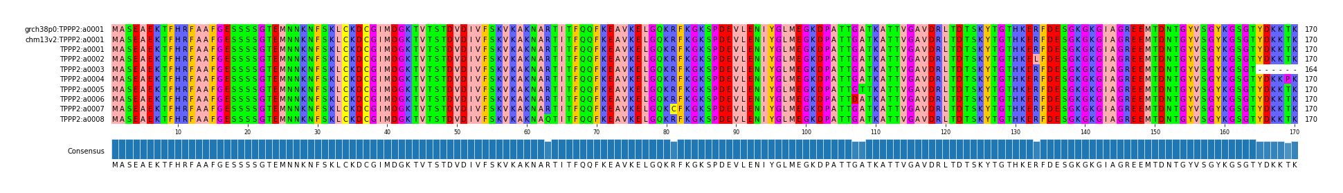 Multiple Alignments (by translate haplotype frequency)