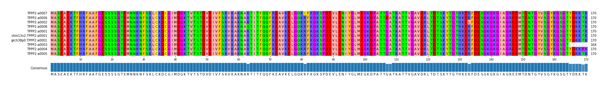 Multiple Alignments (by translate haplotype similarity)