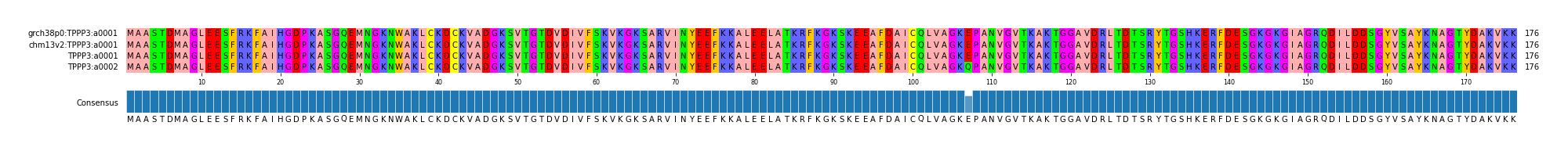 Multiple Alignments (by translate haplotype similarity)