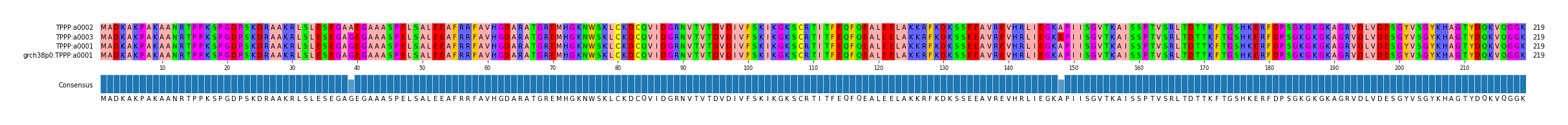 Multiple Alignments (by translate haplotype similarity)