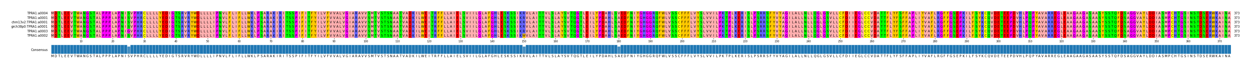 Multiple Alignments (by translate haplotype similarity)