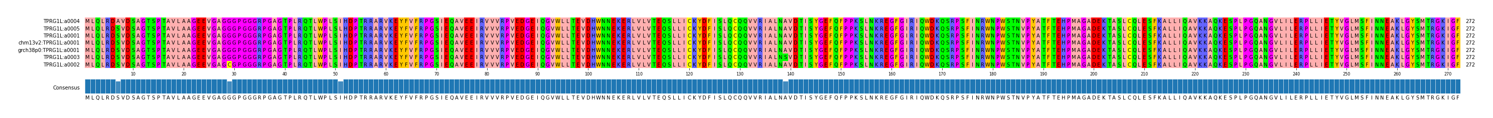 Multiple Alignments (by translate haplotype similarity)