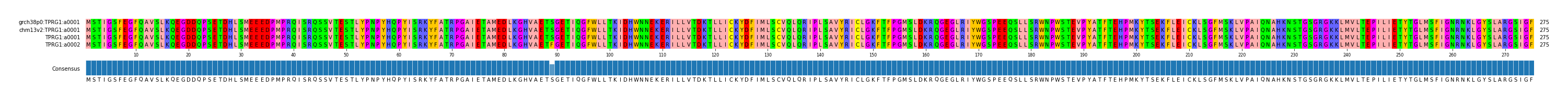Multiple Alignments (by translate haplotype similarity)