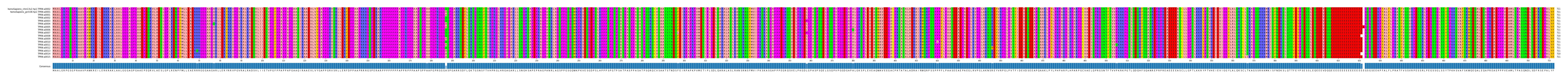 Multiple Alignments (by translate haplotype frequency)
