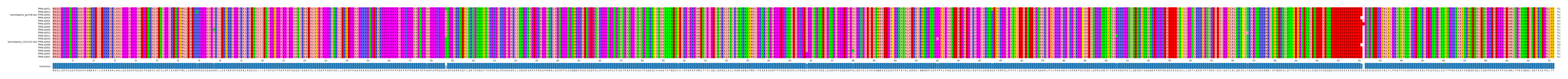 Multiple Alignments (by translate haplotype similarity)