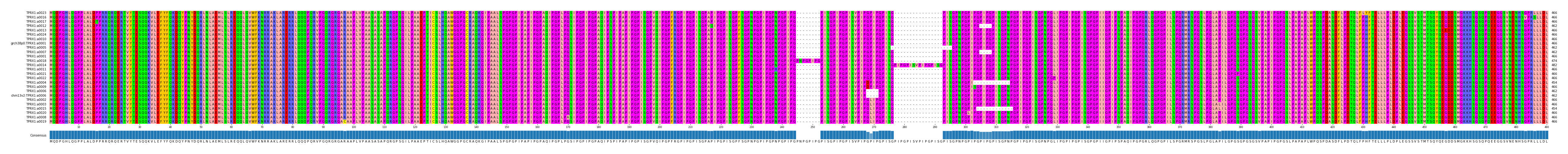 Multiple Alignments (by translate haplotype similarity)