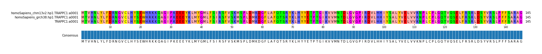 Multiple Alignments (by translate haplotype similarity)