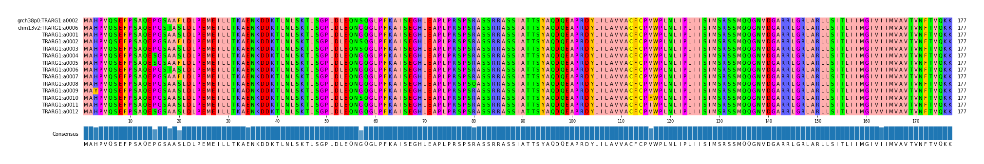 Multiple Alignments (by translate haplotype frequency)