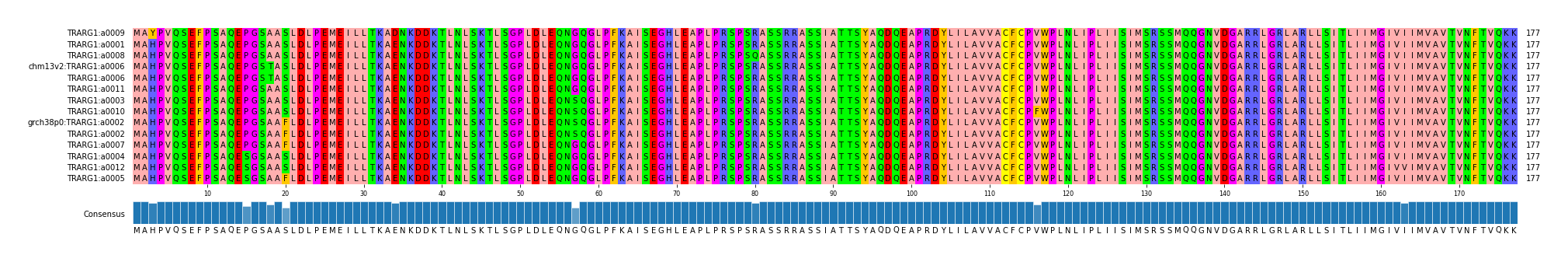 Multiple Alignments (by translate haplotype similarity)