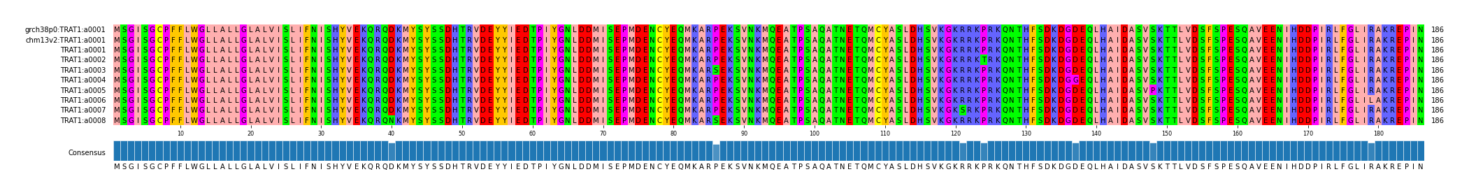 Multiple Alignments (by translate haplotype frequency)