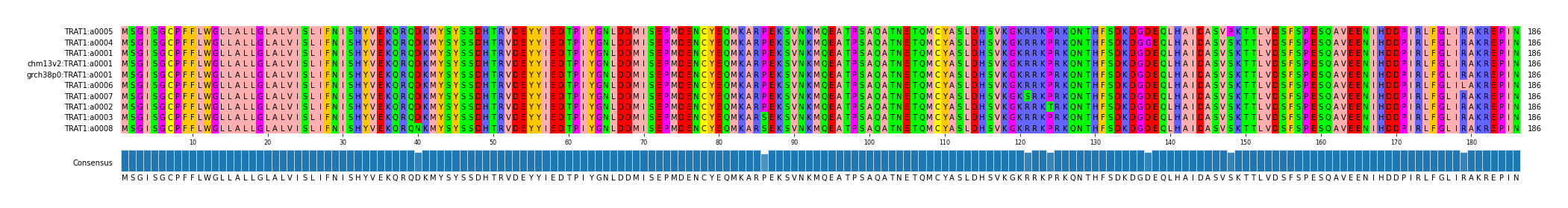 Multiple Alignments (by translate haplotype similarity)