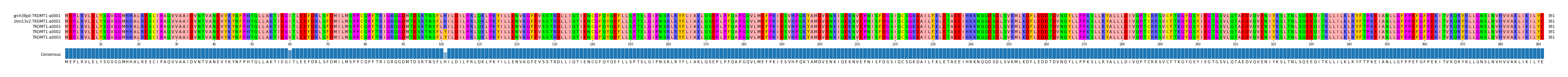 Multiple Alignments (by translate haplotype similarity)