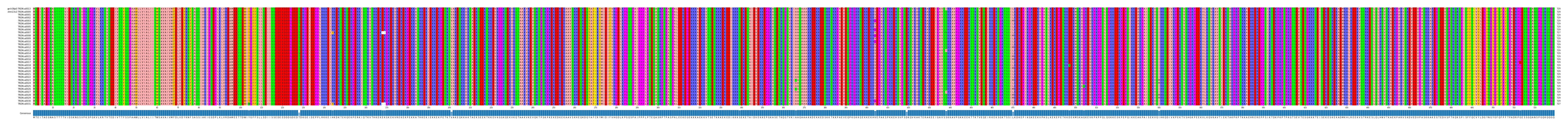 Multiple Alignments (by translate haplotype frequency)