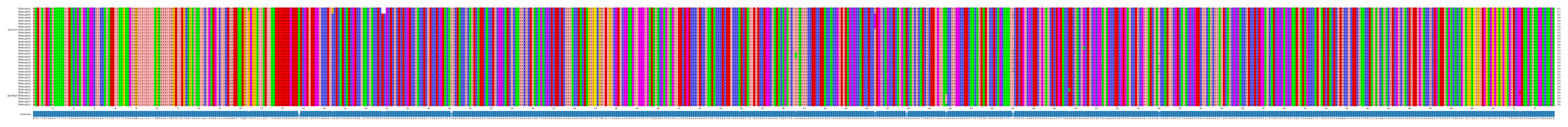 Multiple Alignments (by translate haplotype similarity)