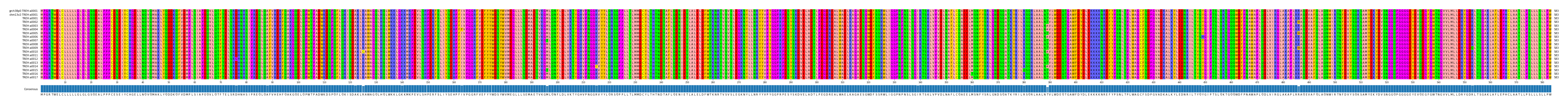 Multiple Alignments (by translate haplotype frequency)