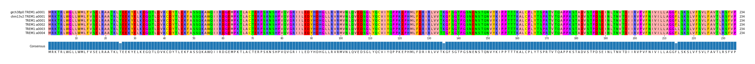 Multiple Alignments (by translate haplotype frequency)