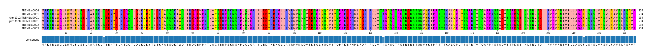 Multiple Alignments (by translate haplotype similarity)
