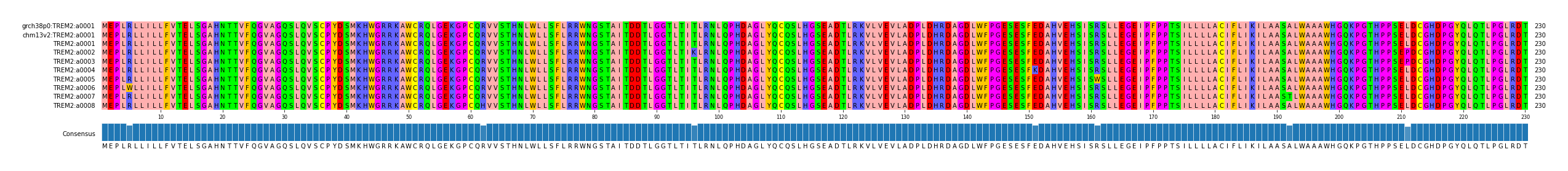 Multiple Alignments (by translate haplotype frequency)