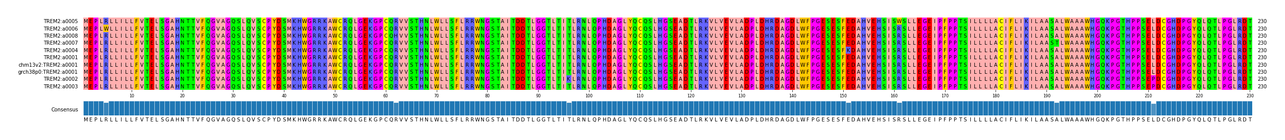 Multiple Alignments (by translate haplotype similarity)