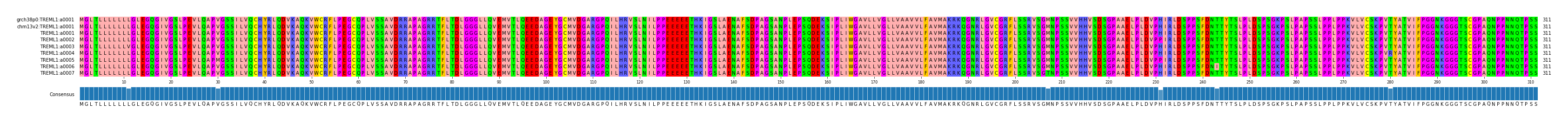 Multiple Alignments (by translate haplotype frequency)