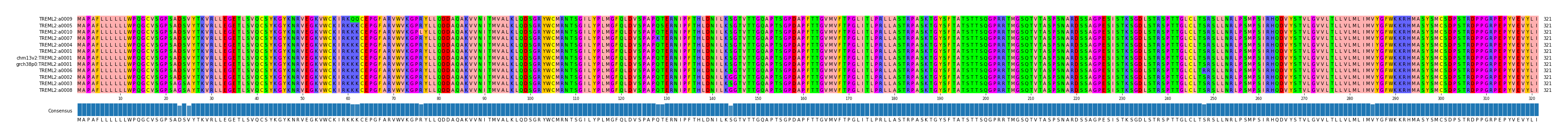 Multiple Alignments (by translate haplotype similarity)