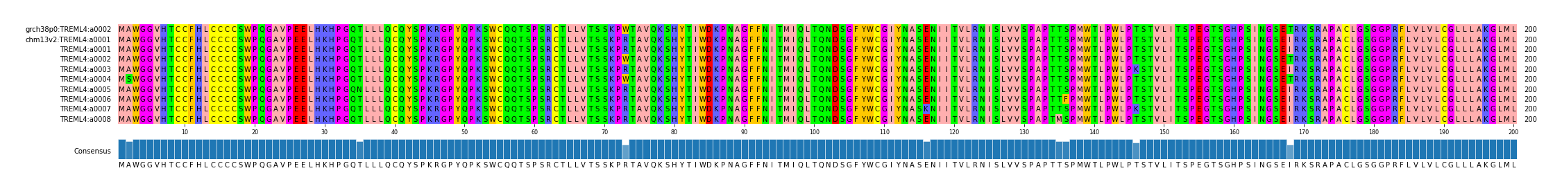 Multiple Alignments (by translate haplotype frequency)