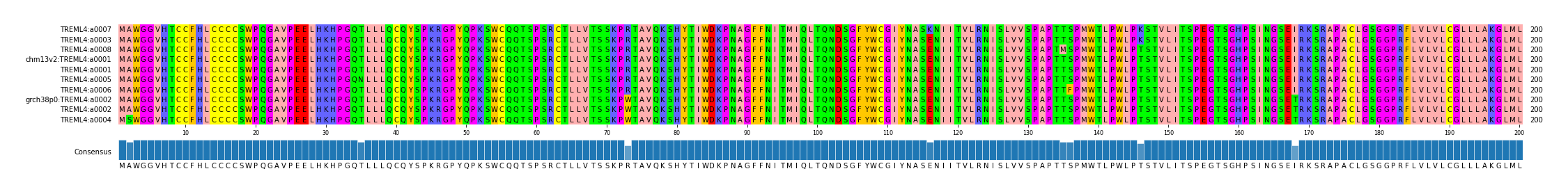 Multiple Alignments (by translate haplotype similarity)