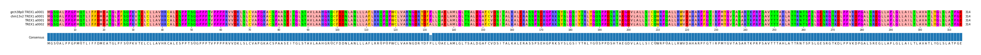 Multiple Alignments (by translate haplotype similarity)