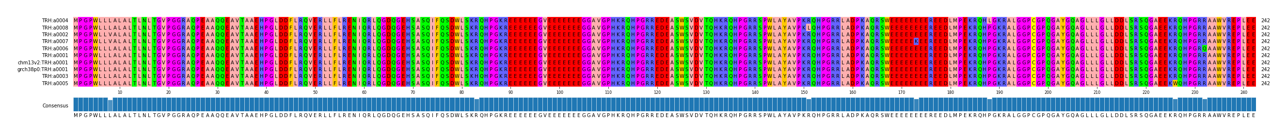 Multiple Alignments (by translate haplotype similarity)