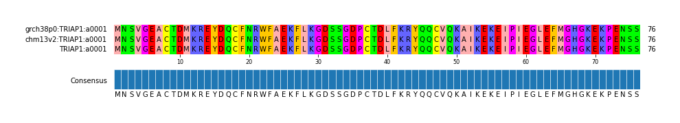 Multiple Alignments (by translate haplotype similarity)
