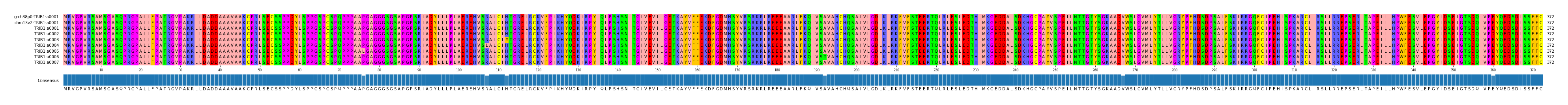 Multiple Alignments (by translate haplotype frequency)