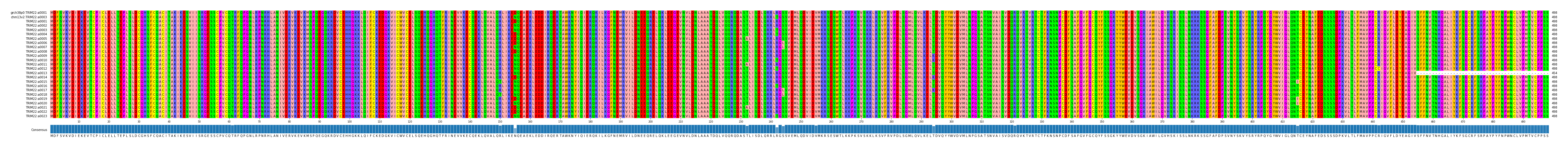 Multiple Alignments (by translate haplotype frequency)