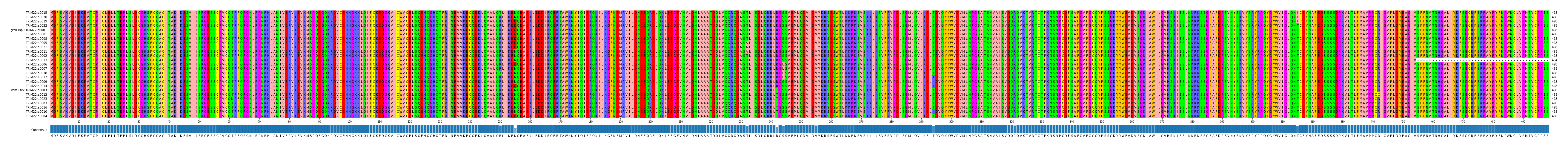 Multiple Alignments (by translate haplotype similarity)