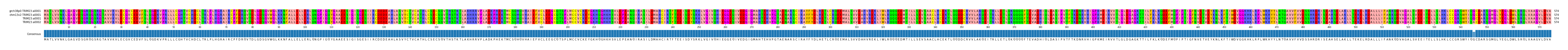 Multiple Alignments (by translate haplotype similarity)