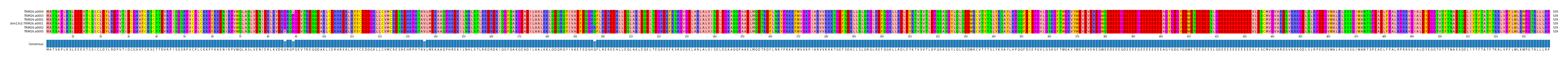 Multiple Alignments (by translate haplotype similarity)