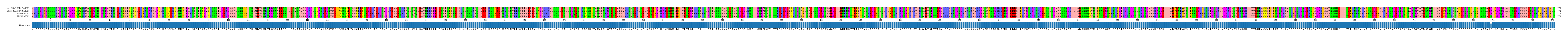 Multiple Alignments (by translate haplotype similarity)