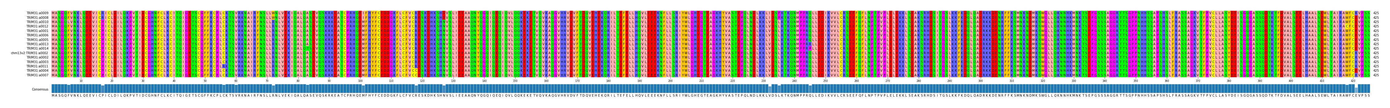 Multiple Alignments (by translate haplotype similarity)