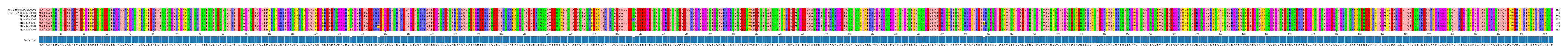 Multiple Alignments (by translate haplotype frequency)
