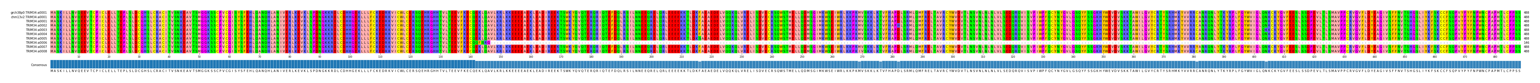 Multiple Alignments (by translate haplotype frequency)