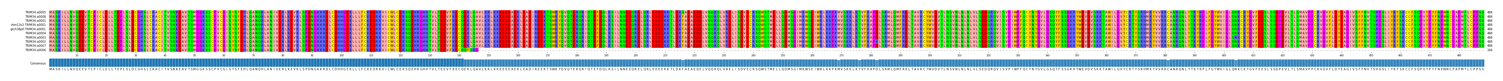 Multiple Alignments (by translate haplotype similarity)