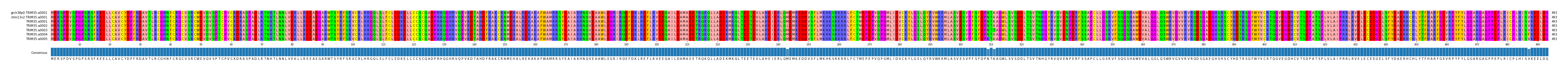 Multiple Alignments (by translate haplotype frequency)