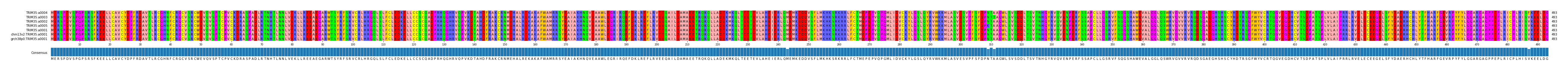 Multiple Alignments (by translate haplotype similarity)