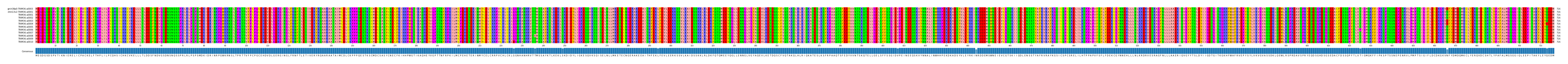 Multiple Alignments (by translate haplotype frequency)